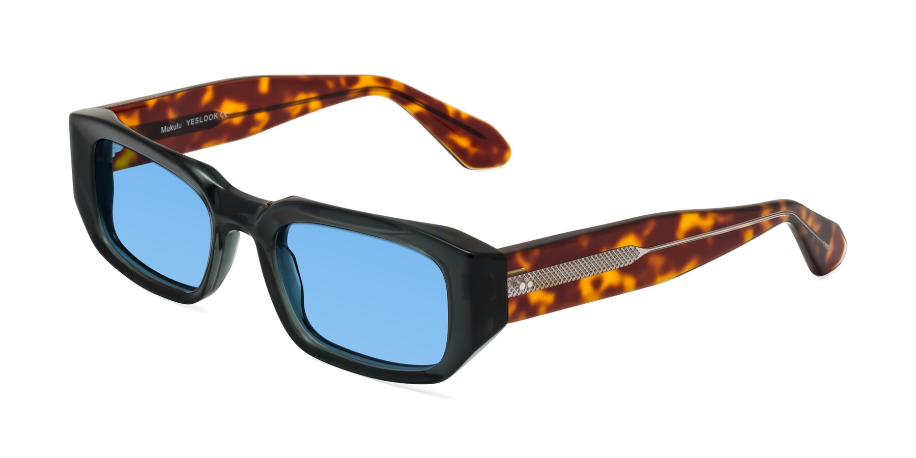 Angle of Mukulu in Dark Slate Gray/Tortoise with Medium Blue Tinted Lenses