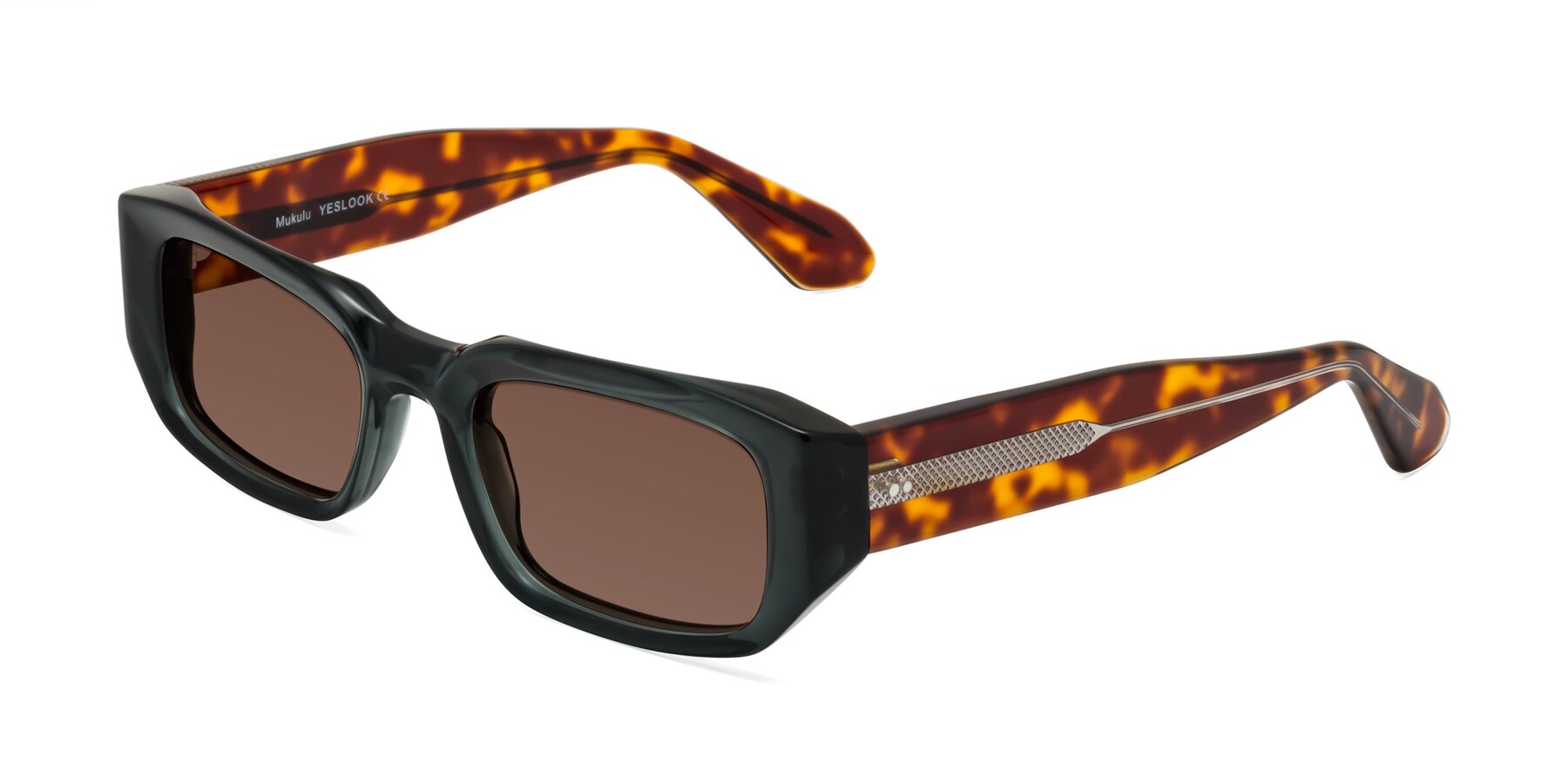 Angle of Mukulu in Dark Slate Gray/Tortoise with Brown Tinted Lenses