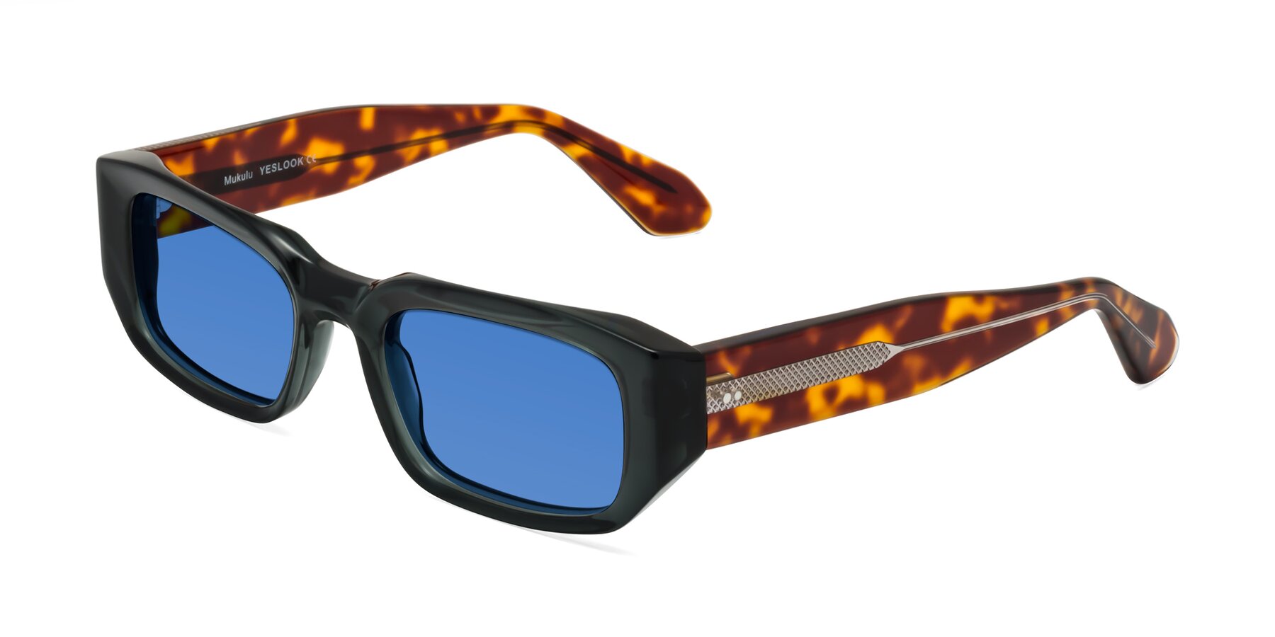 Angle of Mukulu in Dark Slate Gray/Tortoise with Blue Tinted Lenses