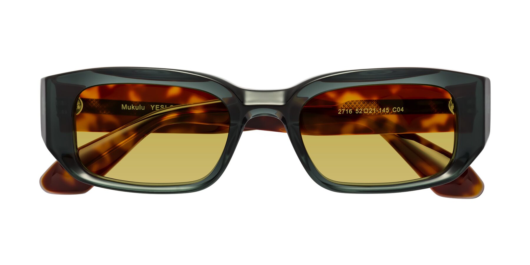 Folded Front of Mukulu in Dark Slate Gray/Tortoise with Champagne Tinted Lenses