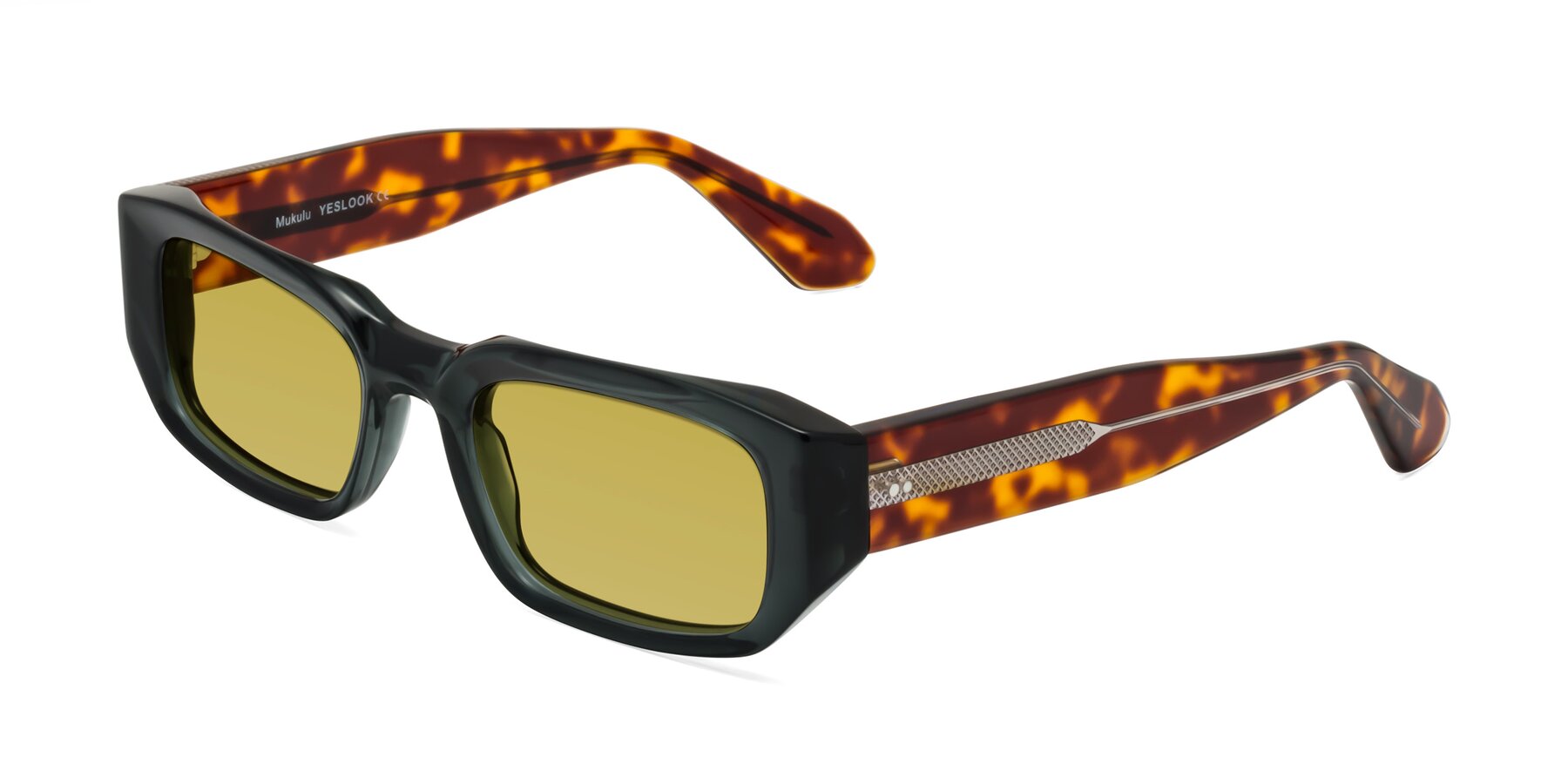 Angle of Mukulu in Dark Slate Gray/Tortoise with Champagne Tinted Lenses