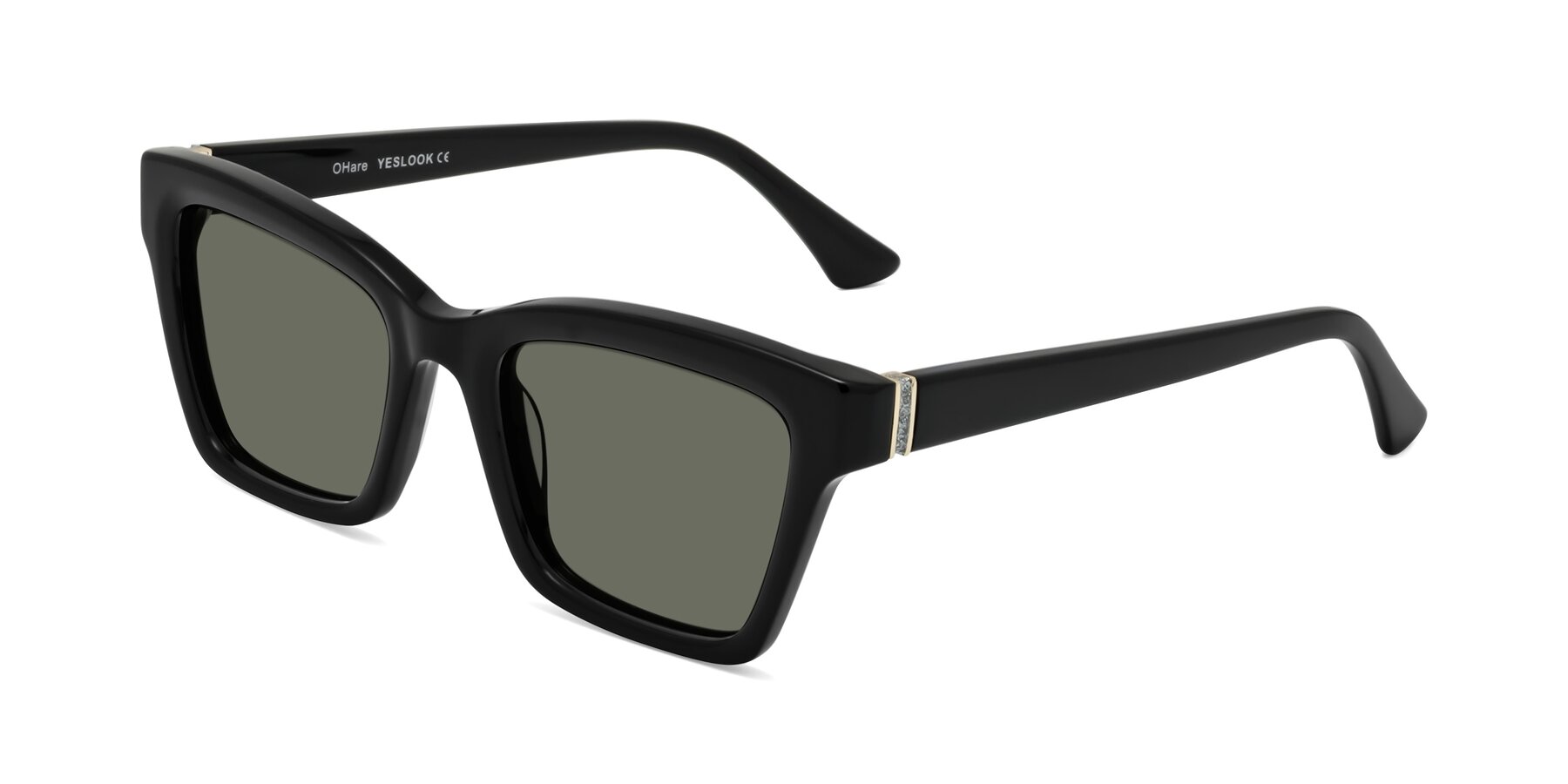 Angle of OHare in Black with Gray Polarized Lenses