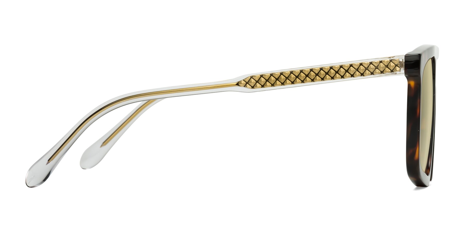 Side of Vazquez in Tortoise/Gold with Light Champagne Tinted Lenses