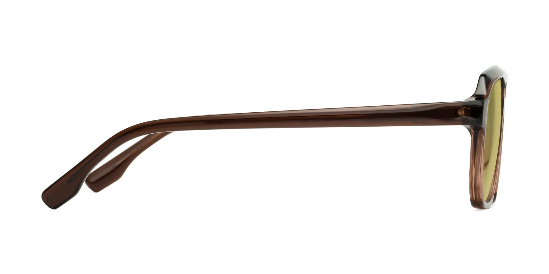 Side of DeMiko in Gradient Brown with Medium Champagne Tinted Lenses