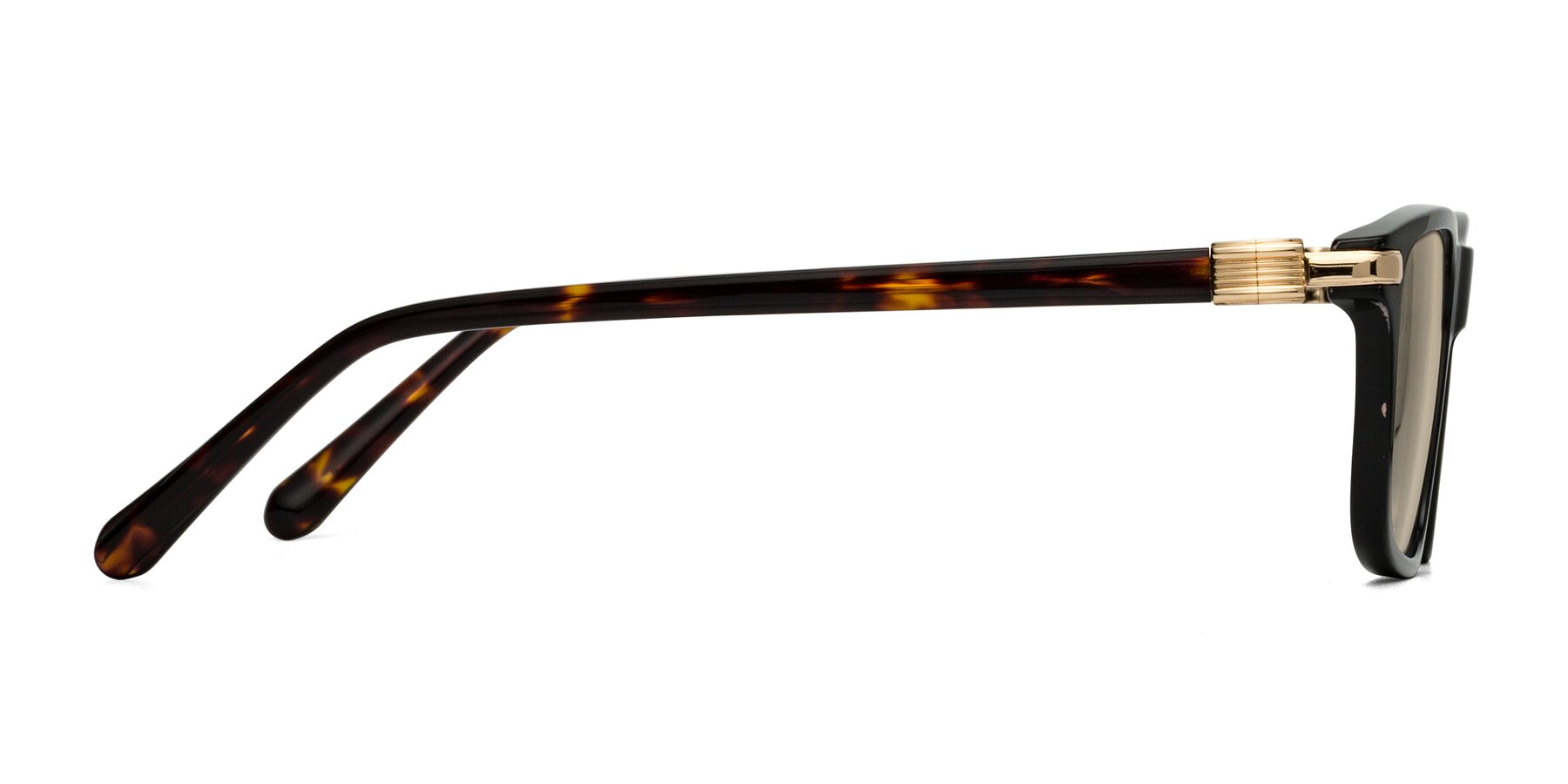 Side of Sutton in Black/Tortoise with Light Brown Tinted Lenses