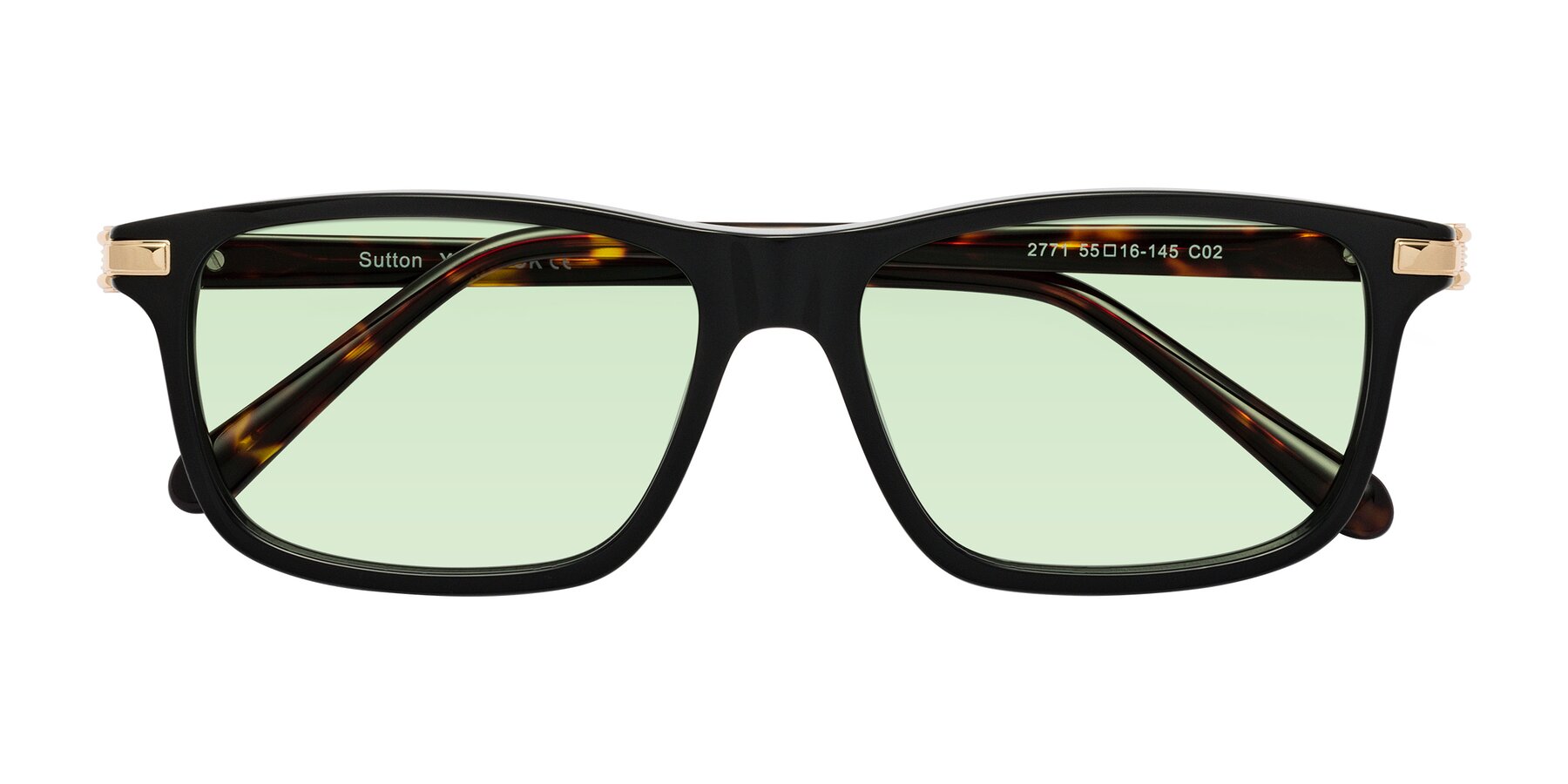 Folded Front of Sutton in Black/Tortoise with Light Green Tinted Lenses