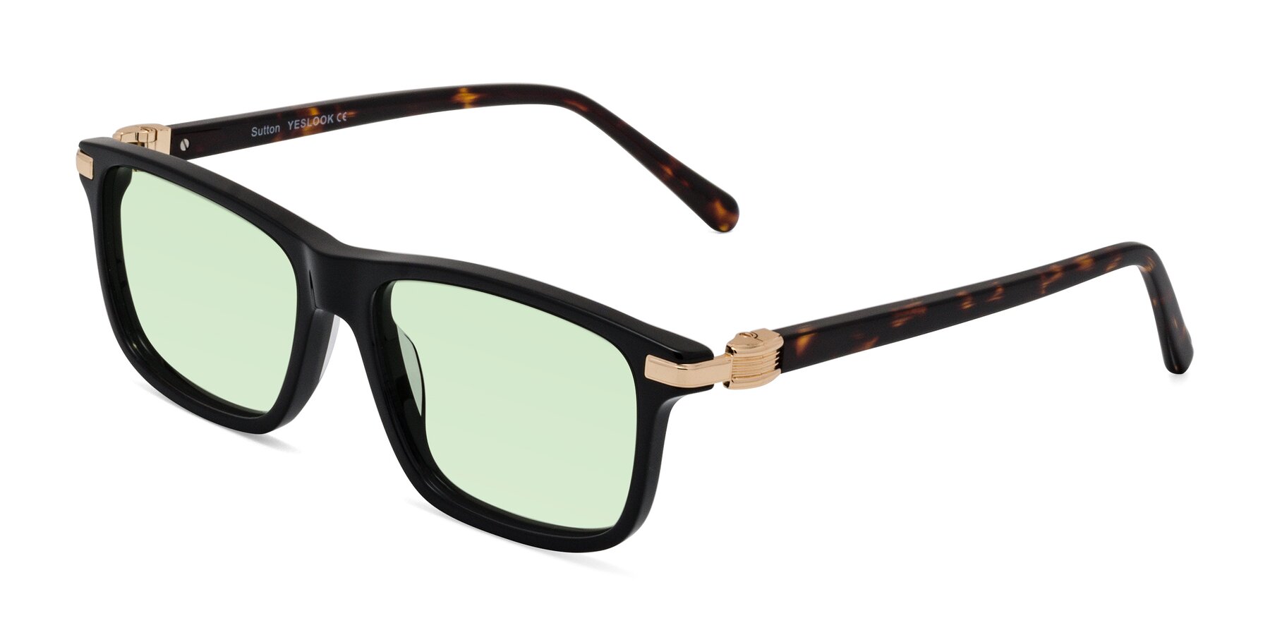 Angle of Sutton in Black/Tortoise with Light Green Tinted Lenses