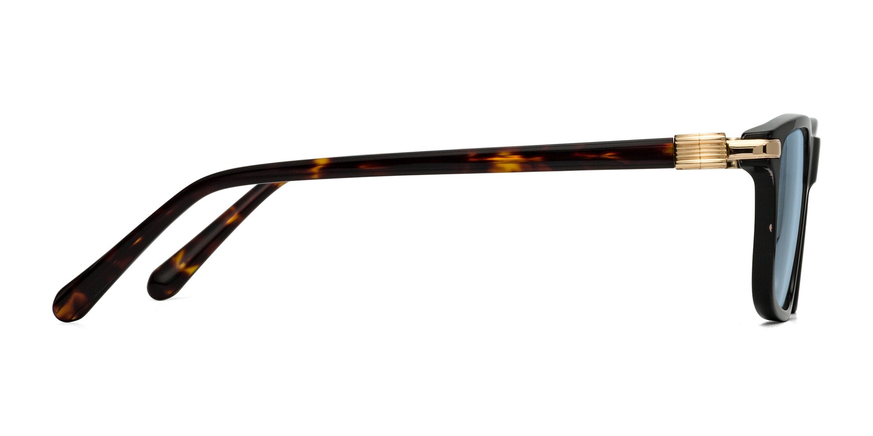 Side of Sutton in Black/Tortoise with Light Blue Tinted Lenses