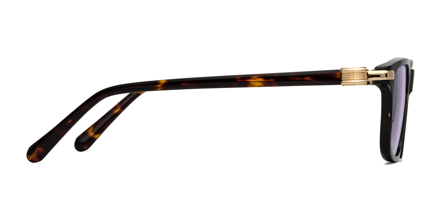 Side of Sutton in Black/Tortoise with Light Purple Tinted Lenses