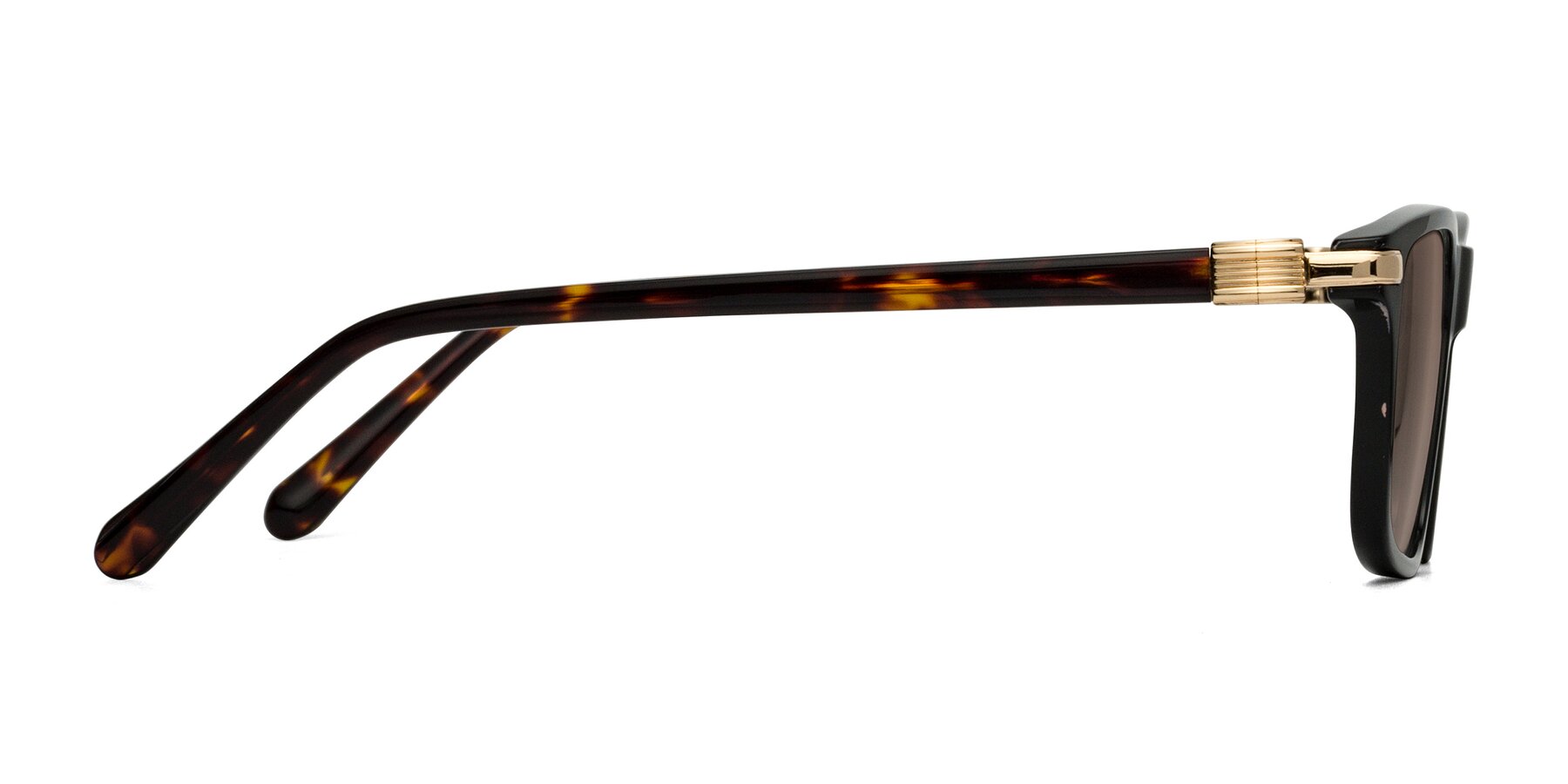 Side of Sutton in Black/Tortoise with Medium Brown Tinted Lenses