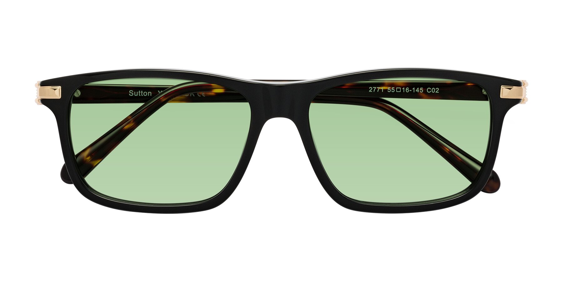 Folded Front of Sutton in Black/Tortoise with Medium Green Tinted Lenses