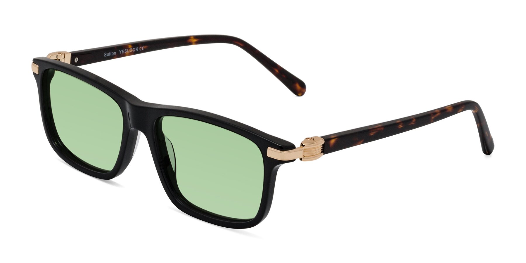 Angle of Sutton in Black/Tortoise with Medium Green Tinted Lenses