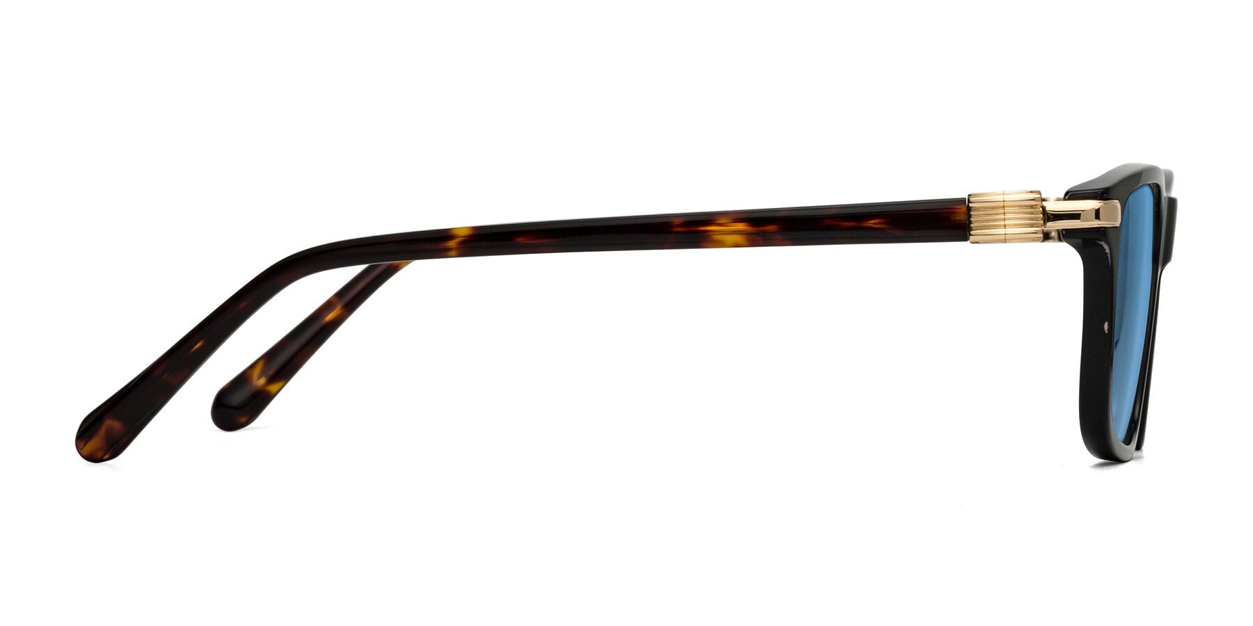 Side of Sutton in Black/Tortoise with Medium Blue Tinted Lenses