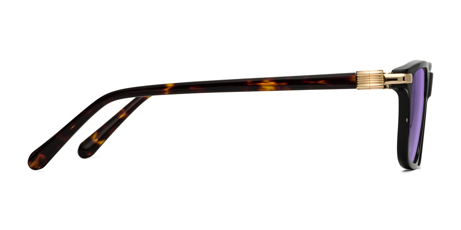 Side of Sutton in Black/Tortoise with Medium Purple Tinted Lenses