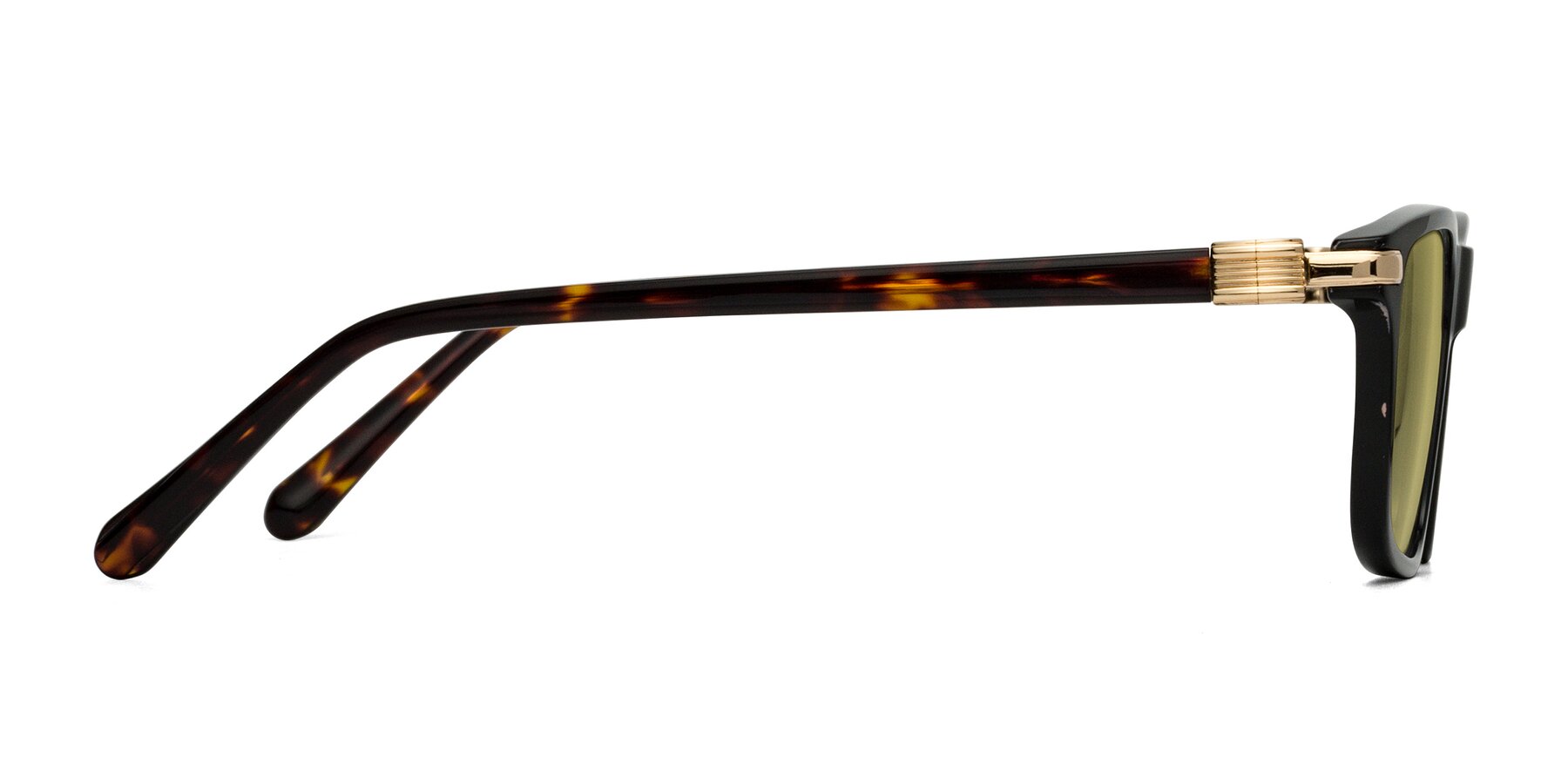 Side of Sutton in Black/Tortoise with Medium Champagne Tinted Lenses