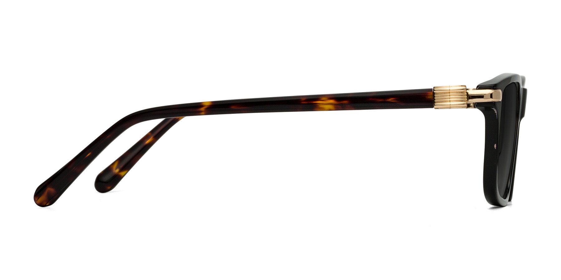 Side of Sutton in Black/Tortoise with Gray Tinted Lenses