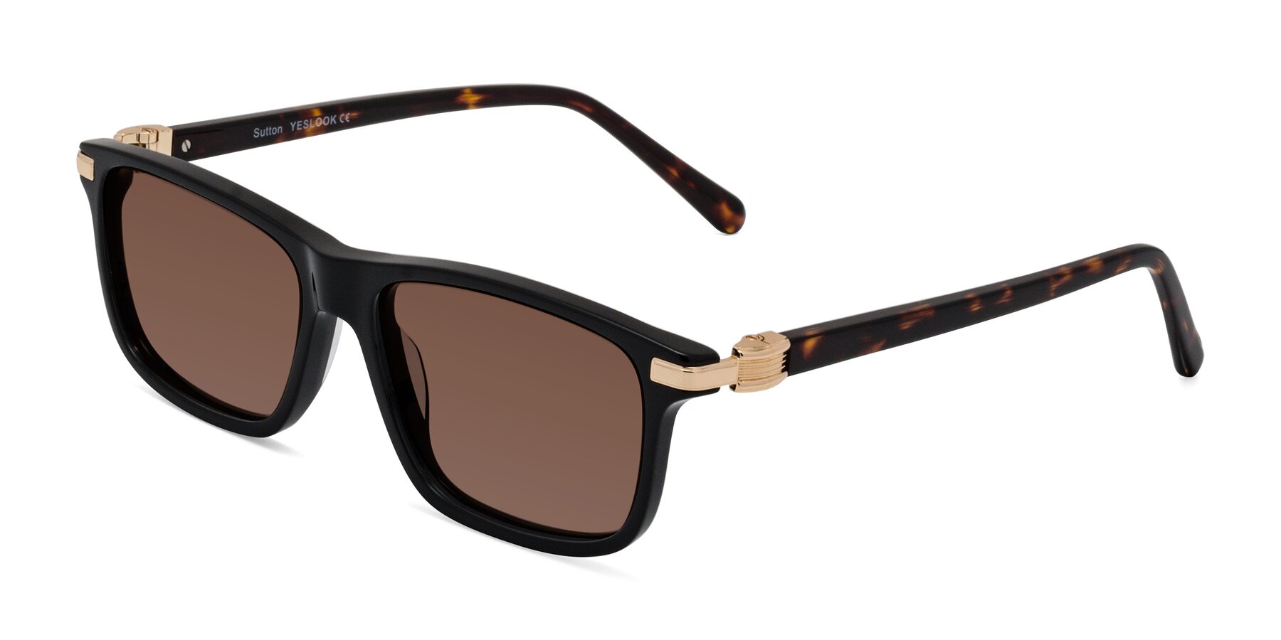 Angle of Sutton in Black/Tortoise with Brown Tinted Lenses