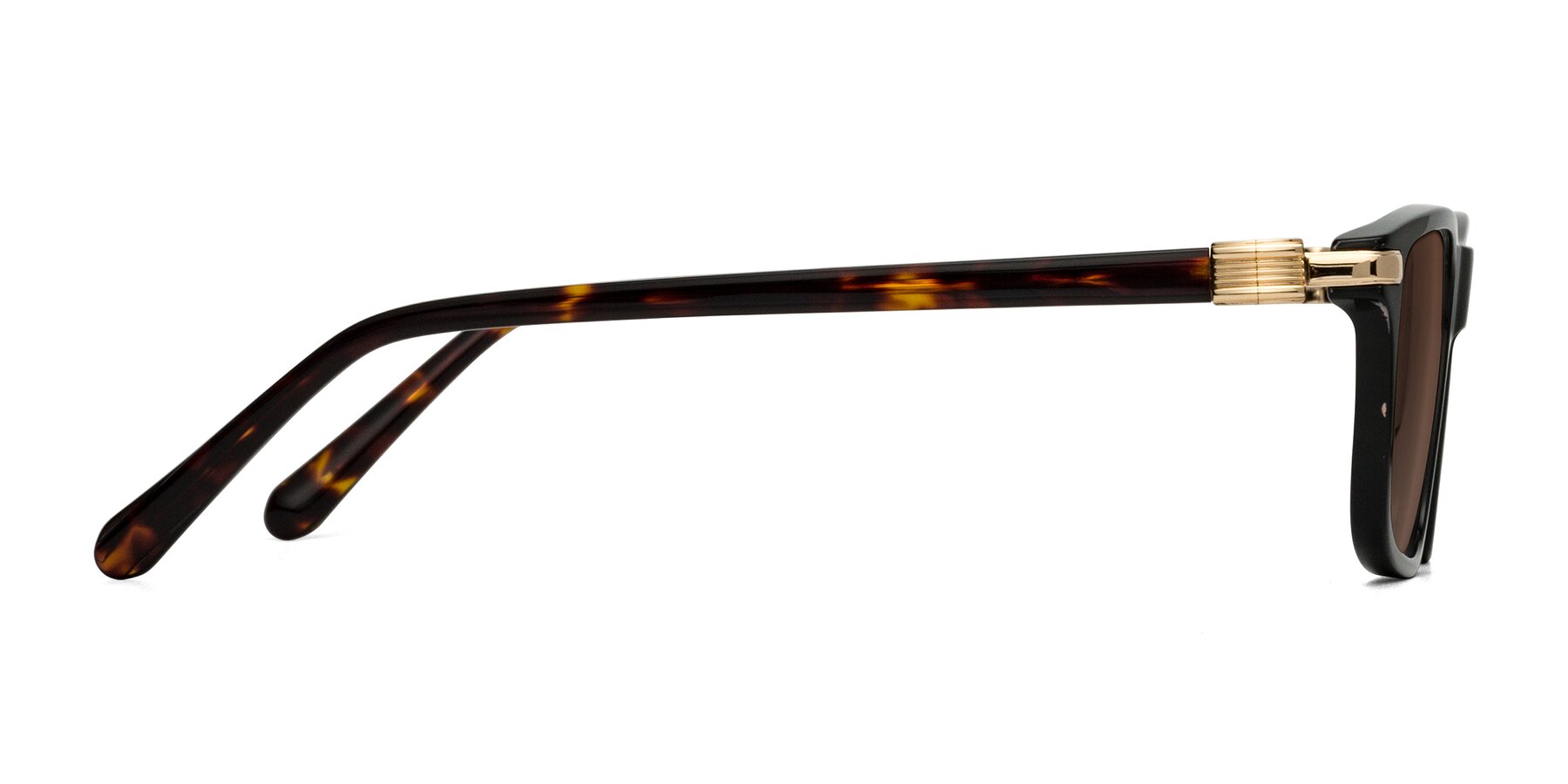 Side of Sutton in Black/Tortoise with Brown Tinted Lenses