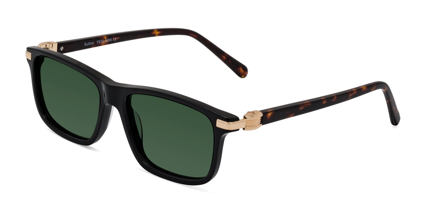 Angle of Sutton in Black/Tortoise with Green Tinted Lenses
