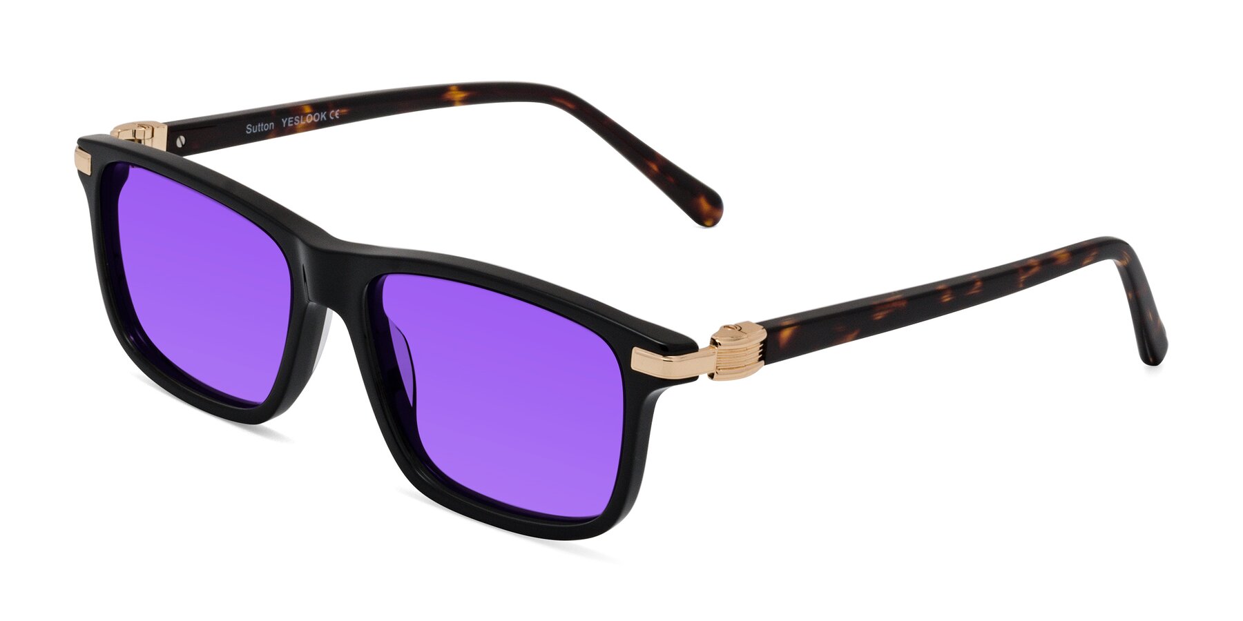 Angle of Sutton in Black/Tortoise with Purple Tinted Lenses