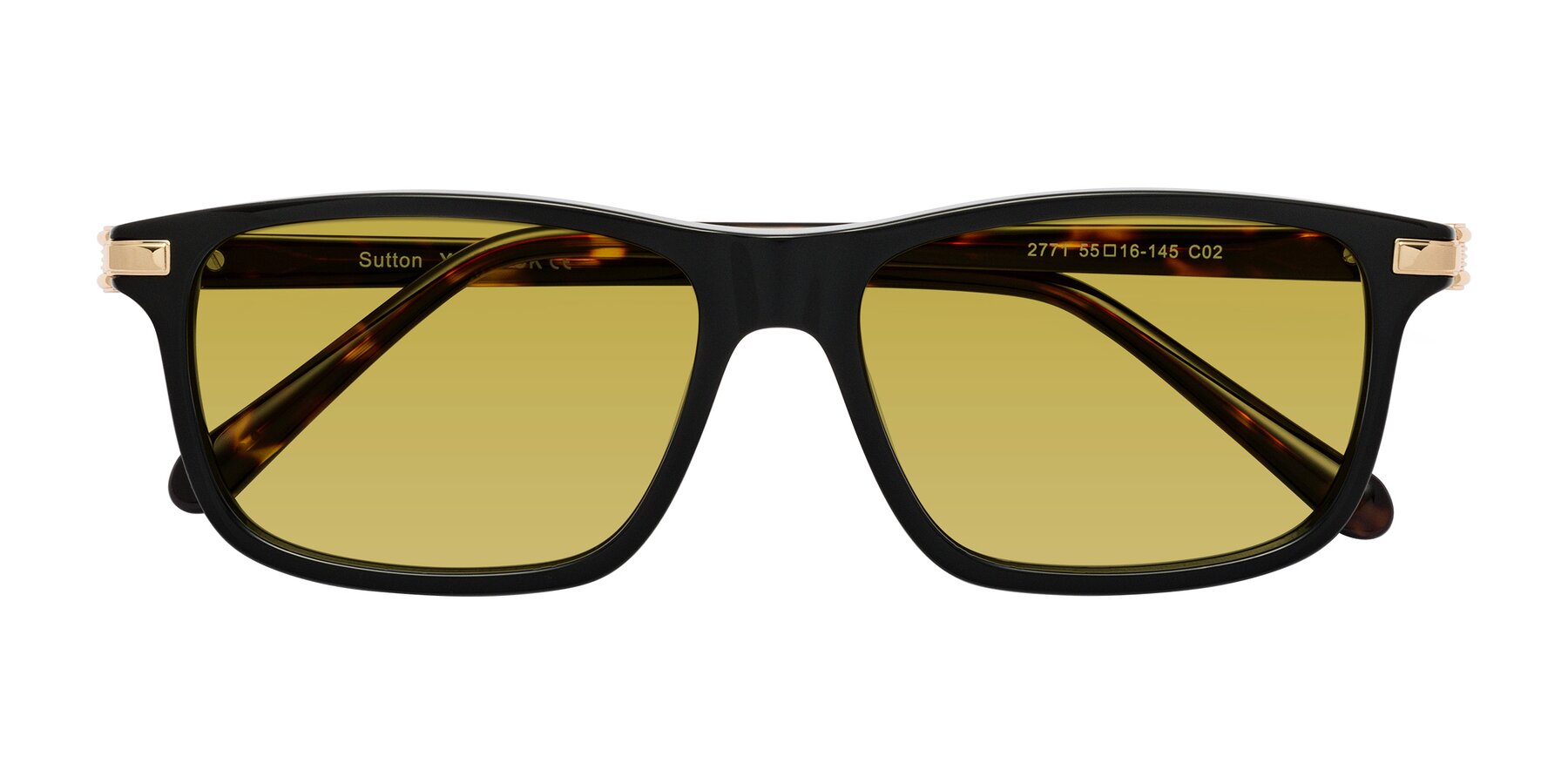 Folded Front of Sutton in Black/Tortoise with Champagne Tinted Lenses