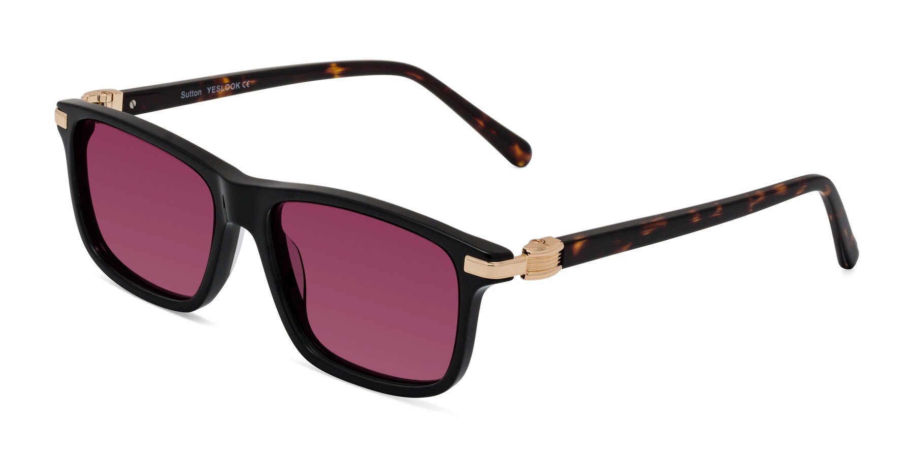 Angle of Sutton in Black/Tortoise with Wine Tinted Lenses