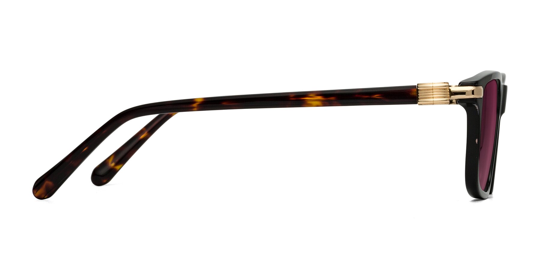 Side of Sutton in Black/Tortoise with Wine Tinted Lenses