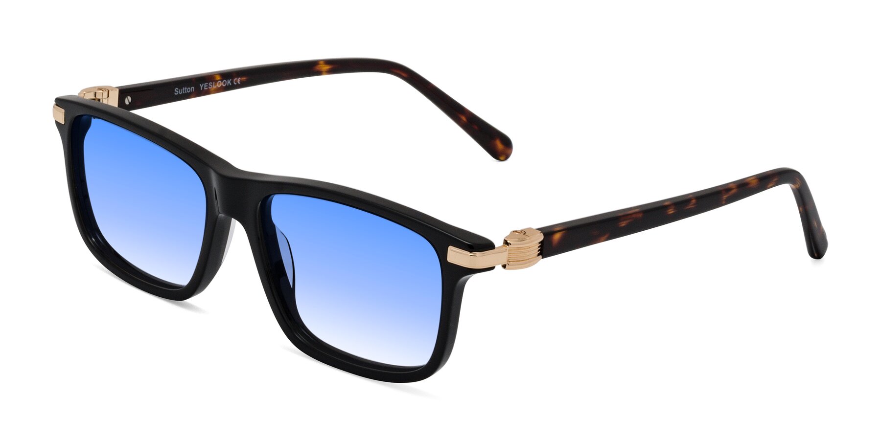 Angle of Sutton in Black/Tortoise with Blue Gradient Lenses