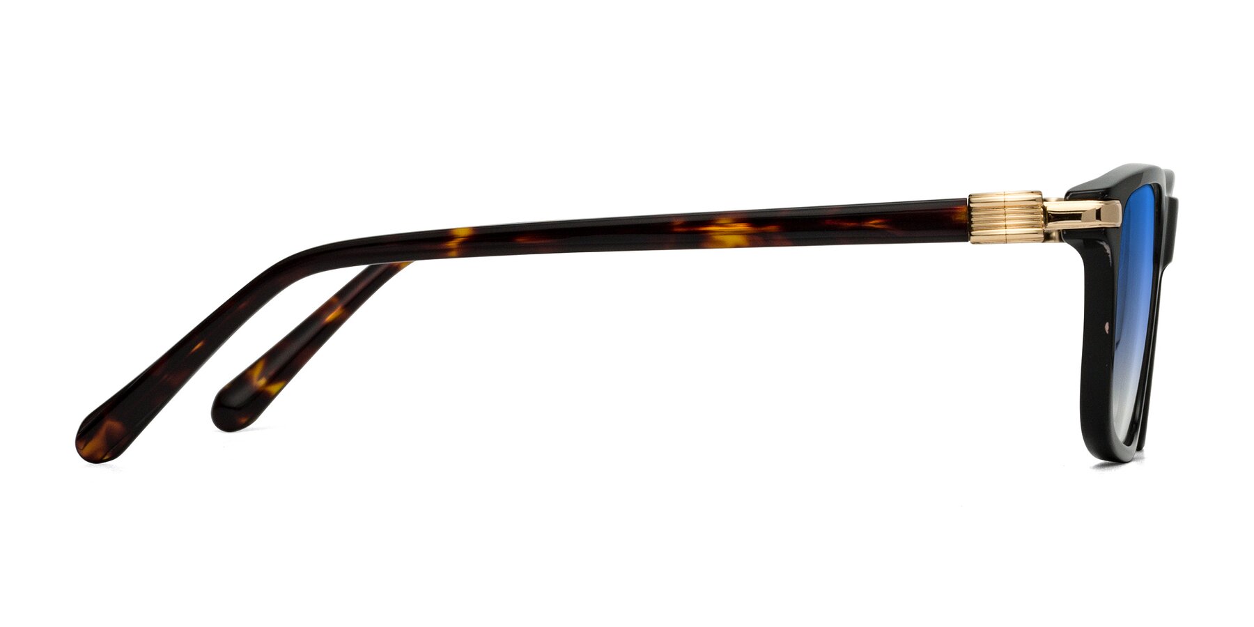 Side of Sutton in Black/Tortoise with Blue Gradient Lenses