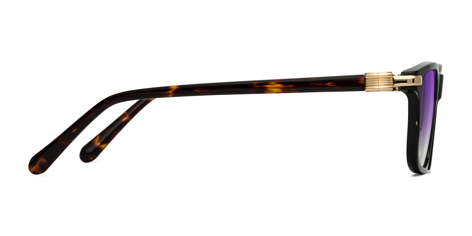 Side of Sutton in Black/Tortoise with Purple Gradient Lenses