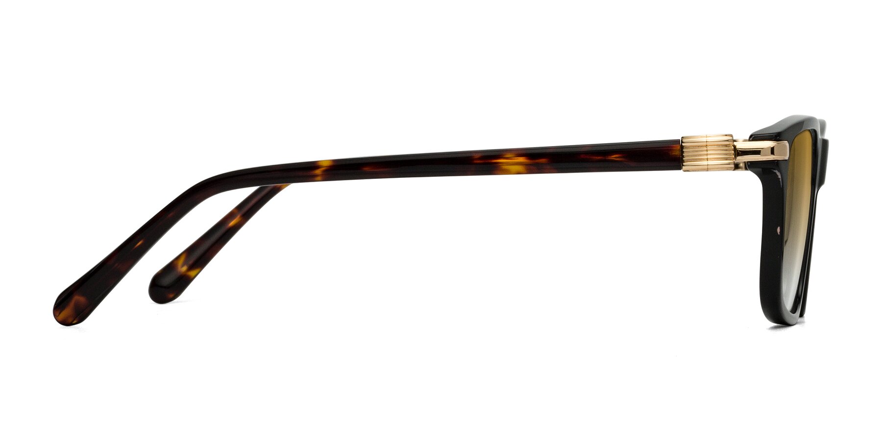 Side of Sutton in Black/Tortoise with Champagne Gradient Lenses