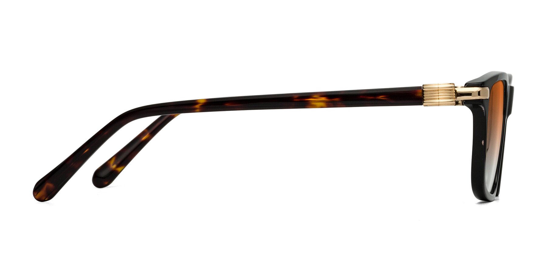 Side of Sutton in Black/Tortoise with Orange Gradient Lenses