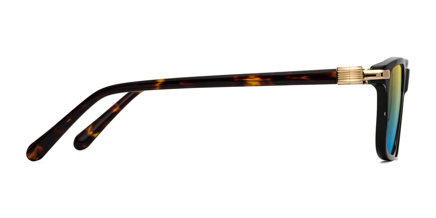 Side of Sutton in Black/Tortoise with Yellow / Blue Gradient Lenses