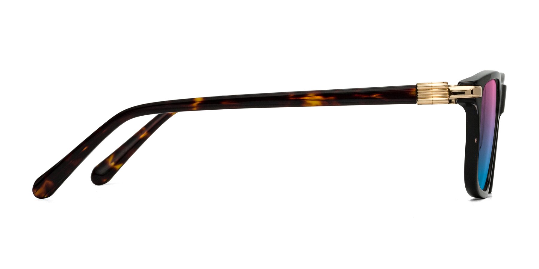 Side of Sutton in Black/Tortoise with Pink / Blue Gradient Lenses