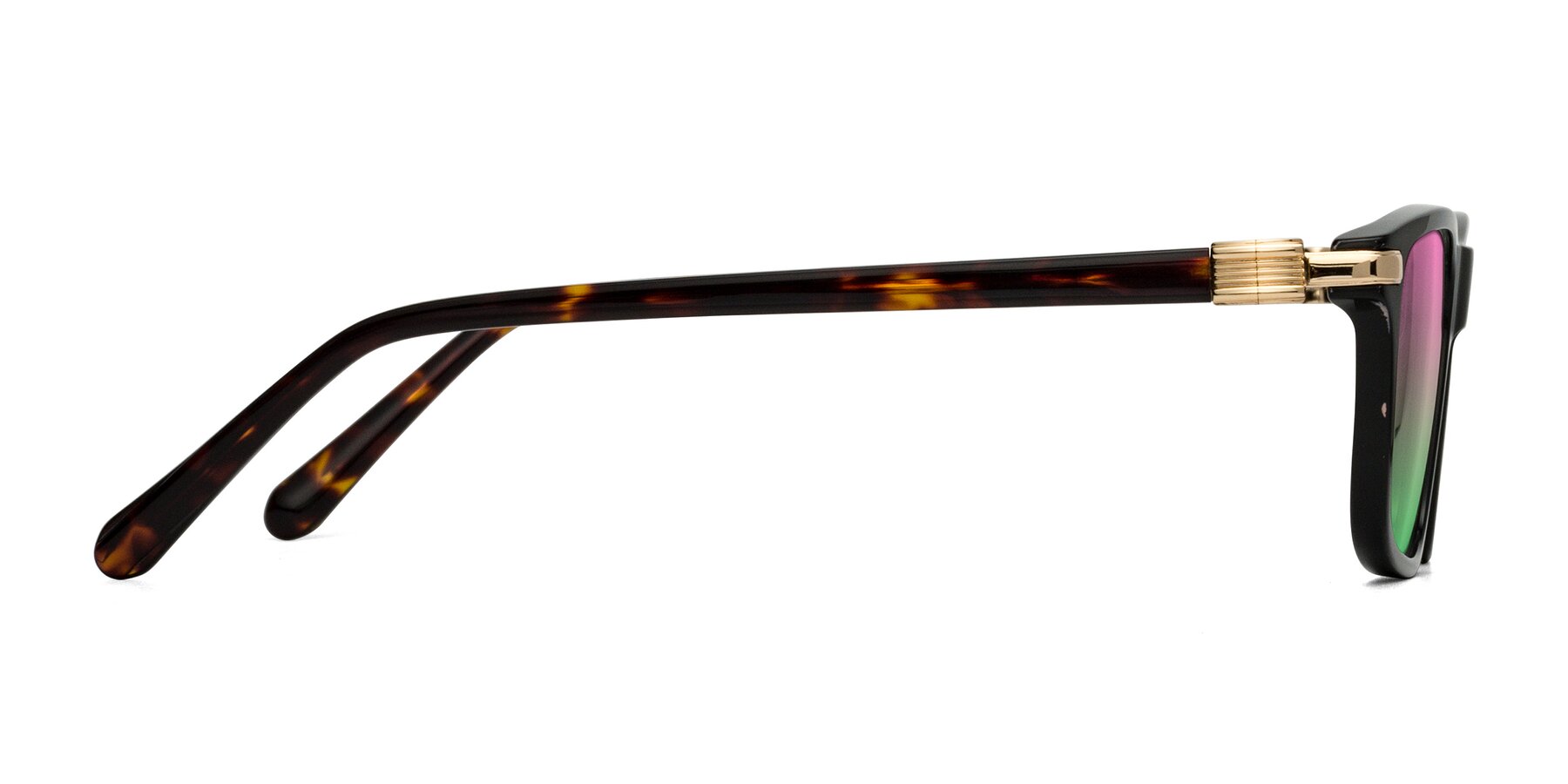 Side of Sutton in Black/Tortoise with Pink / Green Gradient Lenses