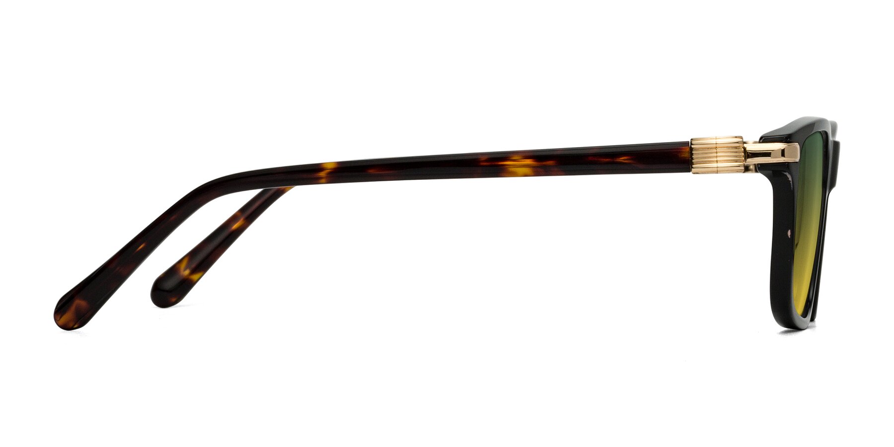 Side of Sutton in Black/Tortoise with Green / Yellow Gradient Lenses