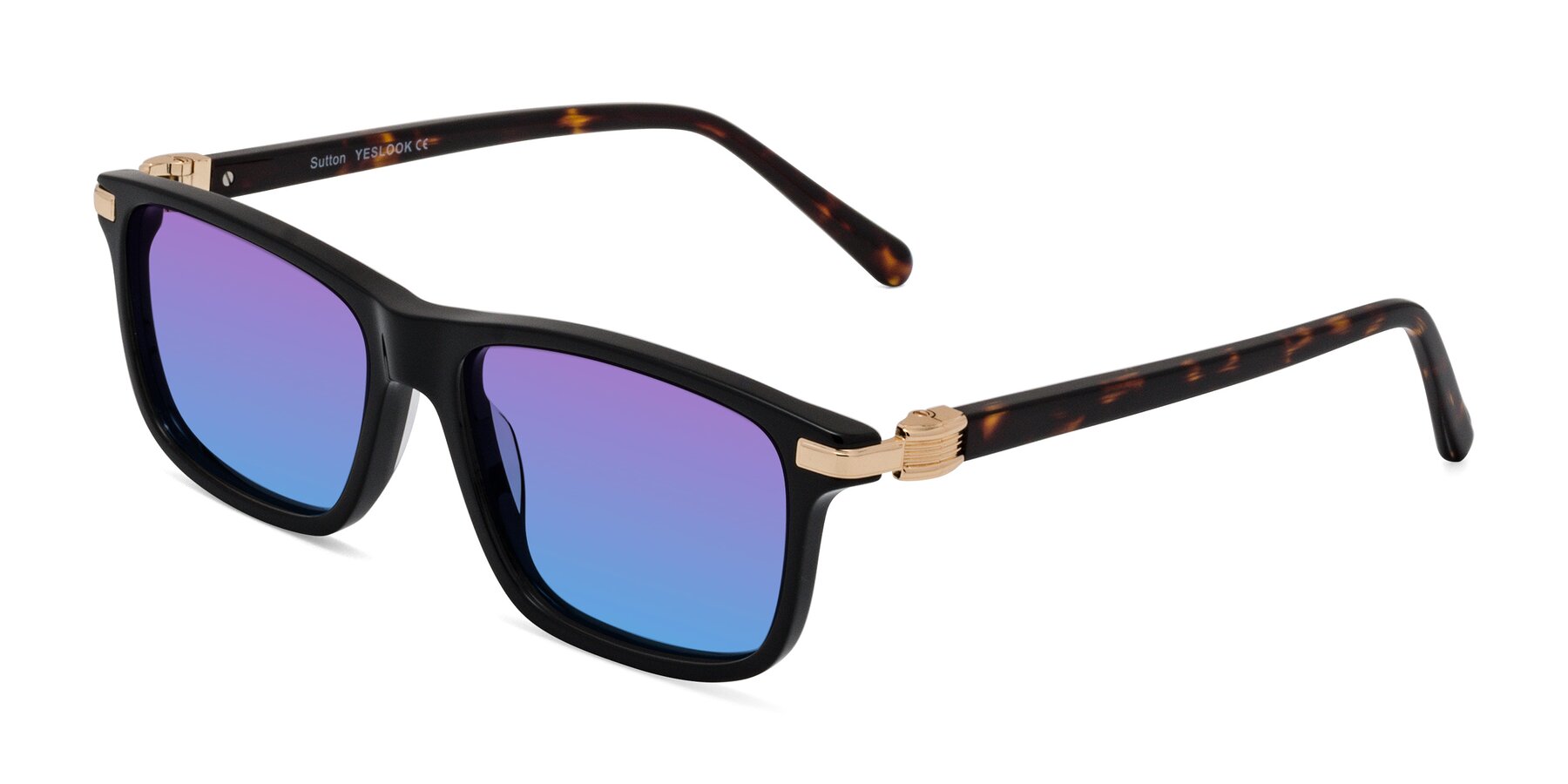 Angle of Sutton in Black/Tortoise with Purple / Blue Gradient Lenses