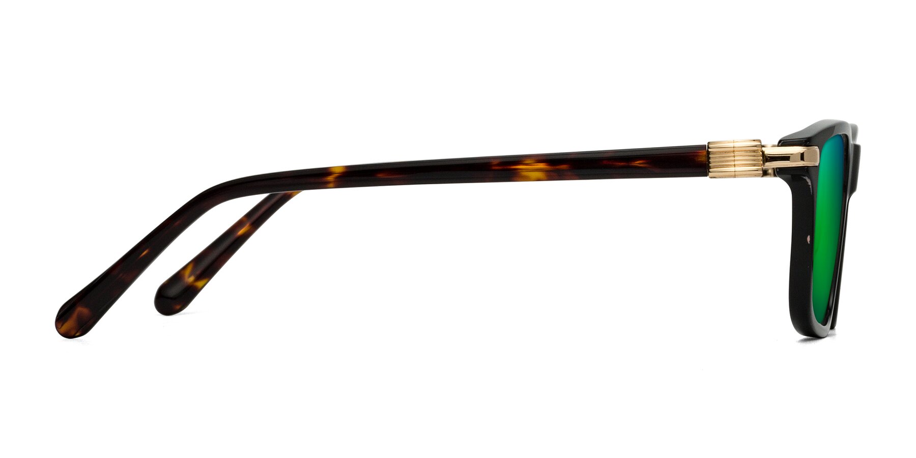 Side of Sutton in Black/Tortoise with Green Mirrored Lenses