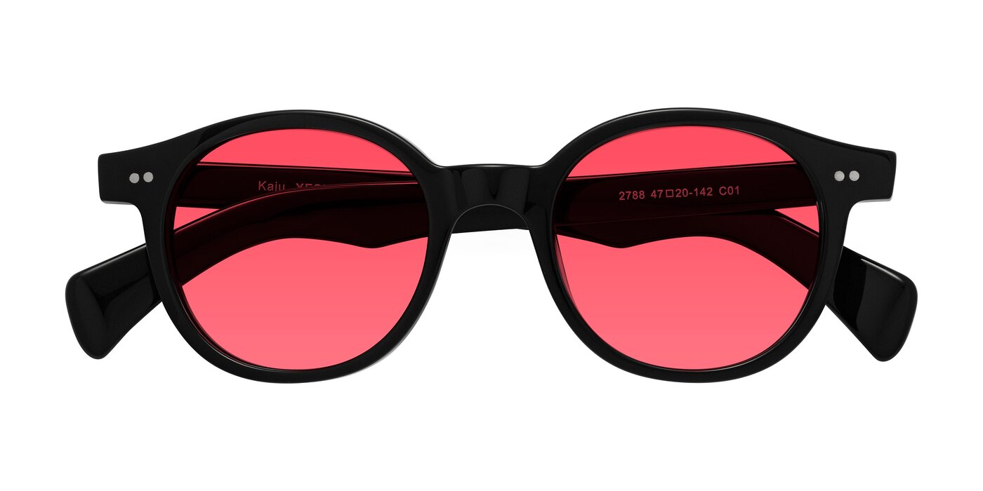 Kaju - Black Tinted Sunglasses