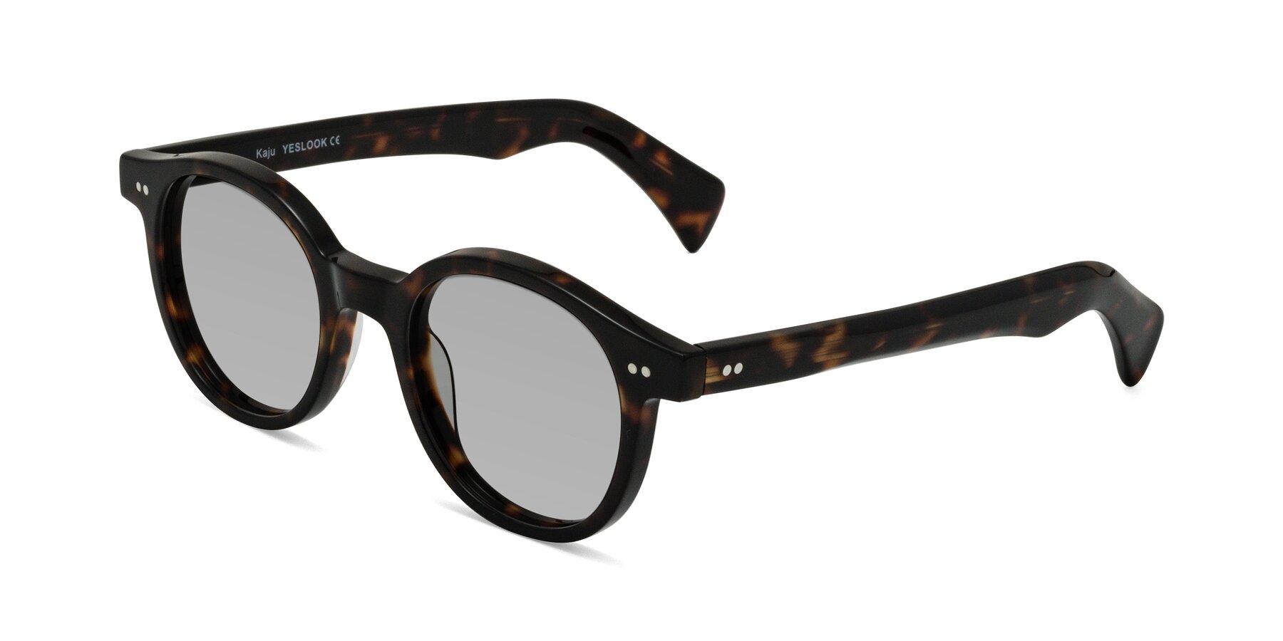 Angle of Kaju in Dark Tortoise with Light Gray Tinted Lenses