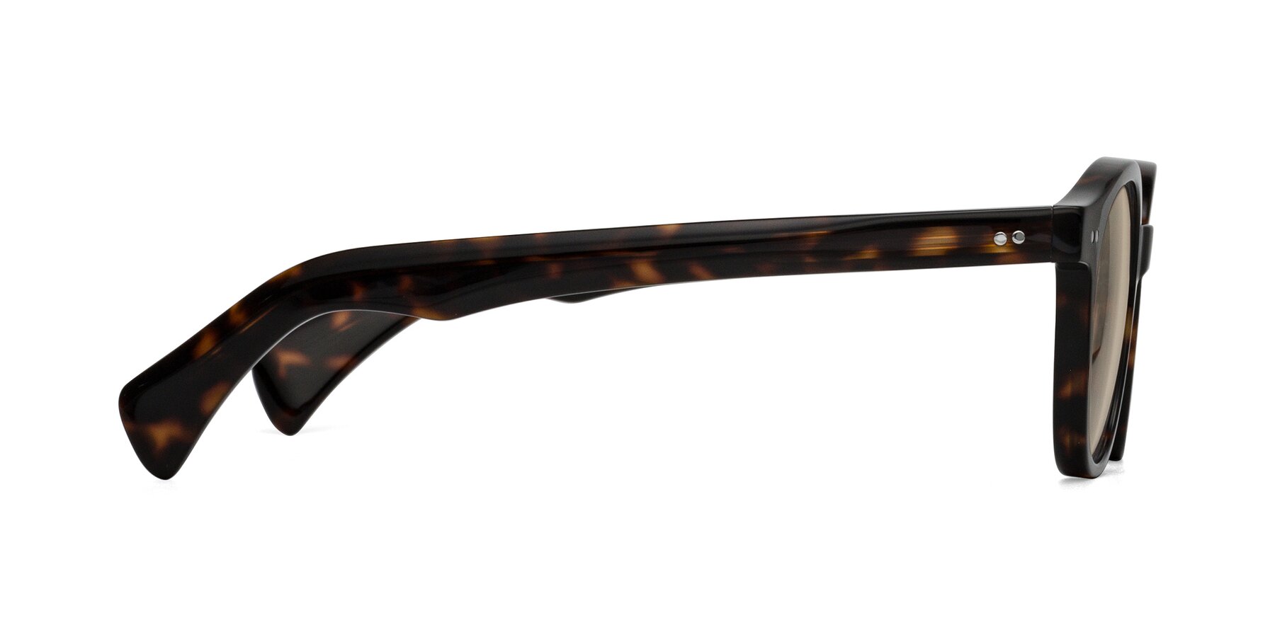 Side of Kaju in Dark Tortoise with Light Brown Tinted Lenses