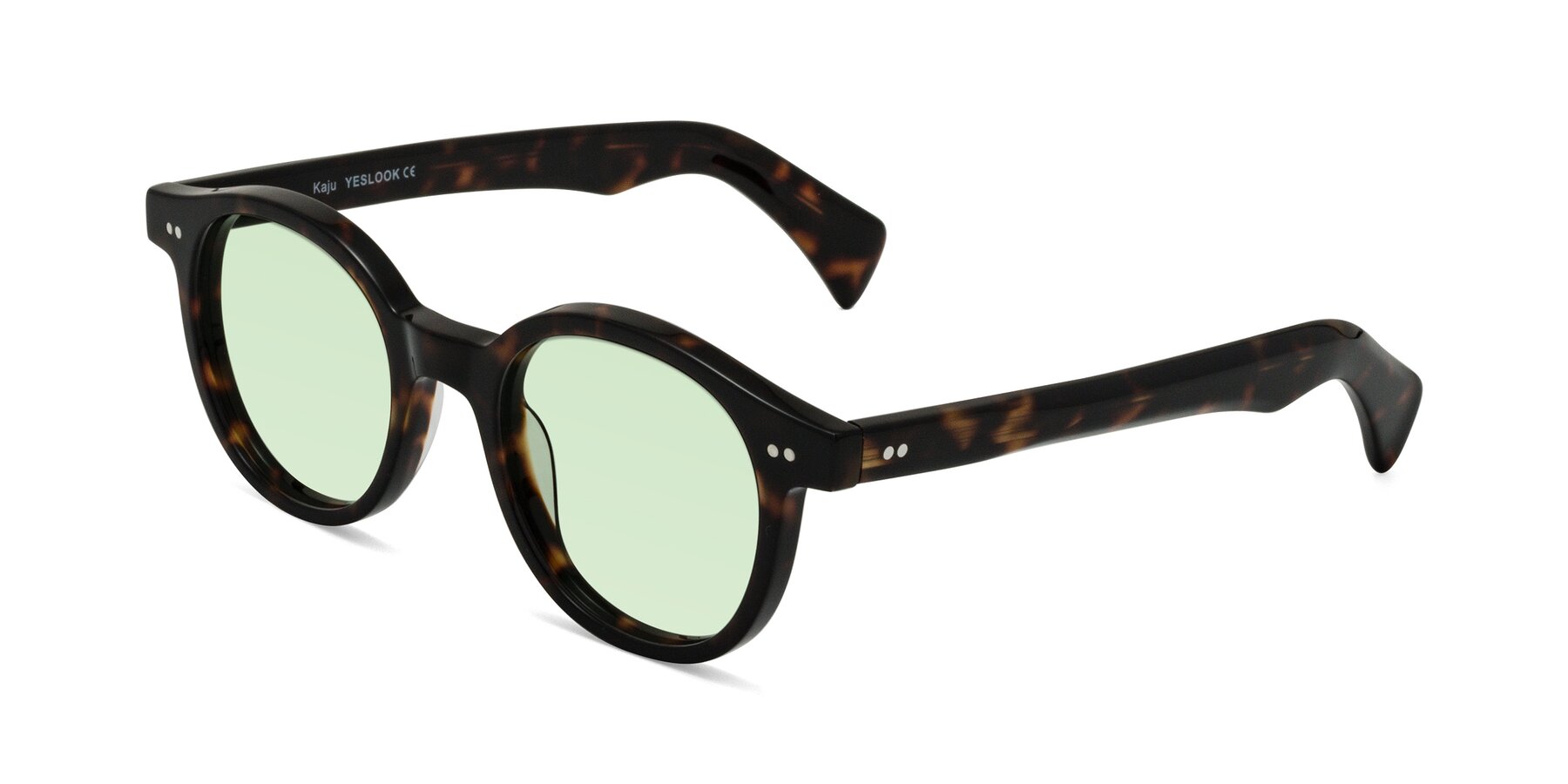 Angle of Kaju in Dark Tortoise with Light Green Tinted Lenses