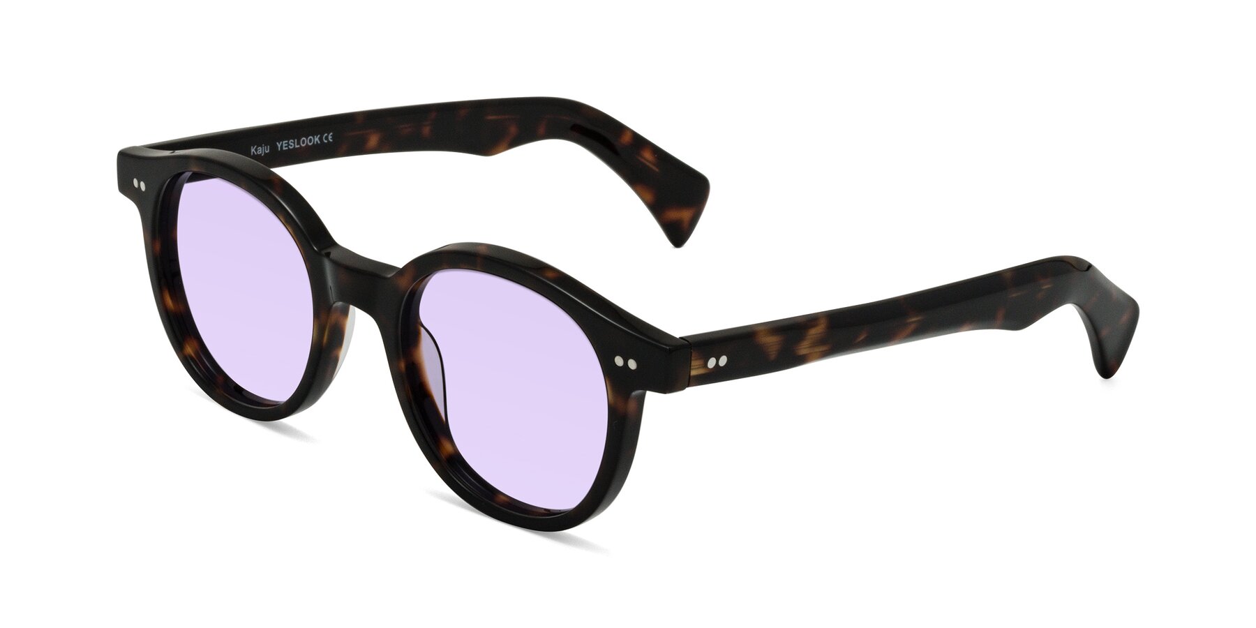 Angle of Kaju in Dark Tortoise with Light Purple Tinted Lenses