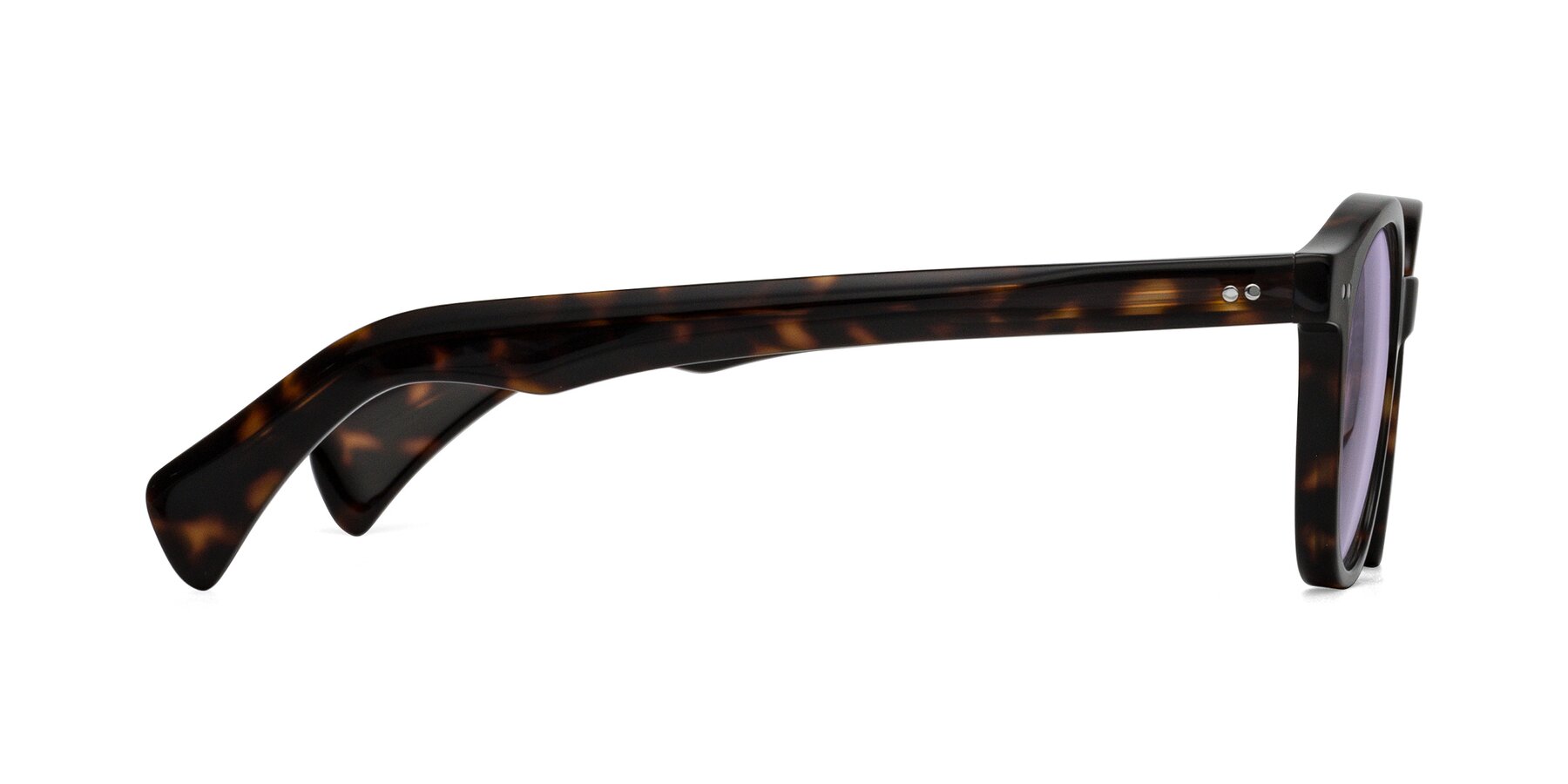 Side of Kaju in Dark Tortoise with Light Purple Tinted Lenses