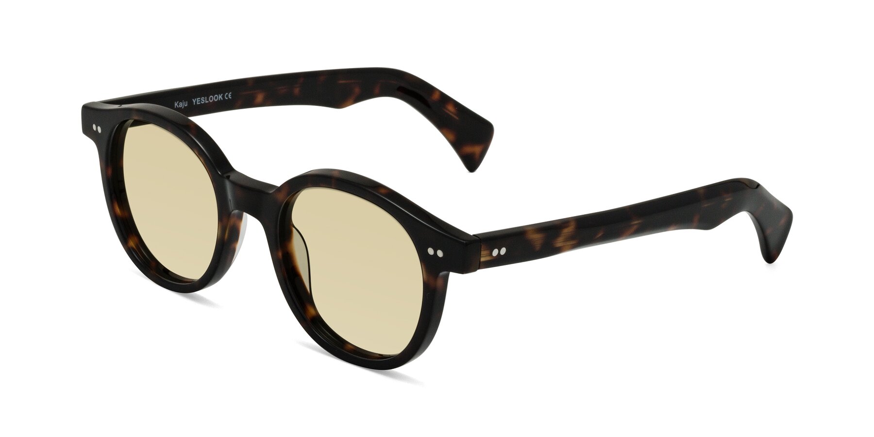 Angle of Kaju in Dark Tortoise with Light Champagne Tinted Lenses