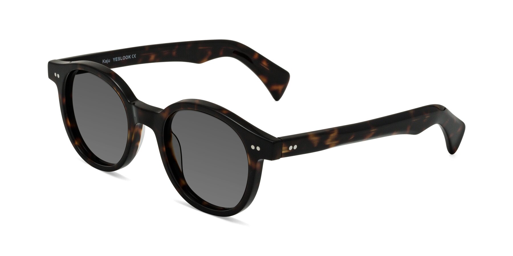 Angle of Kaju in Dark Tortoise with Medium Gray Tinted Lenses