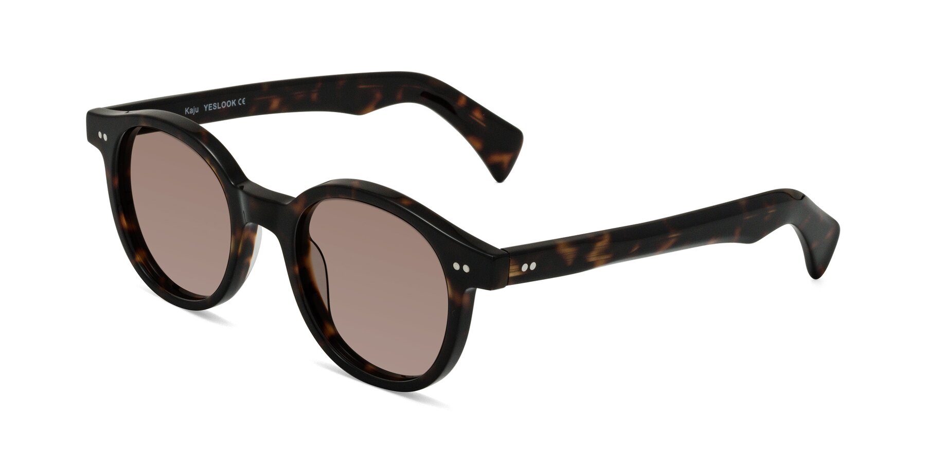 Angle of Kaju in Dark Tortoise with Medium Brown Tinted Lenses