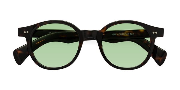 Front of Kaju in Dark Tortoise