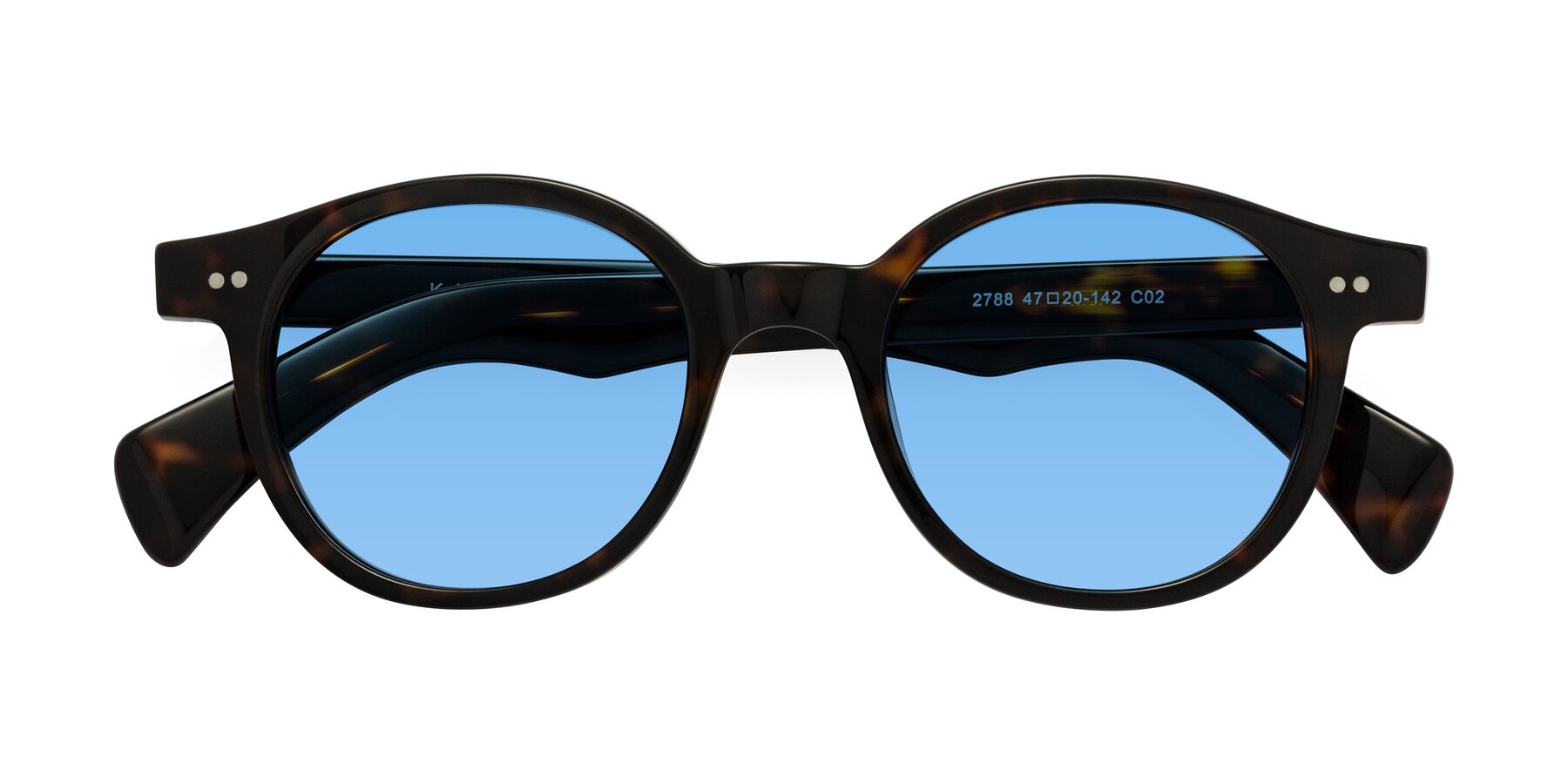 Folded Front of Kaju in Dark Tortoise with Medium Blue Tinted Lenses
