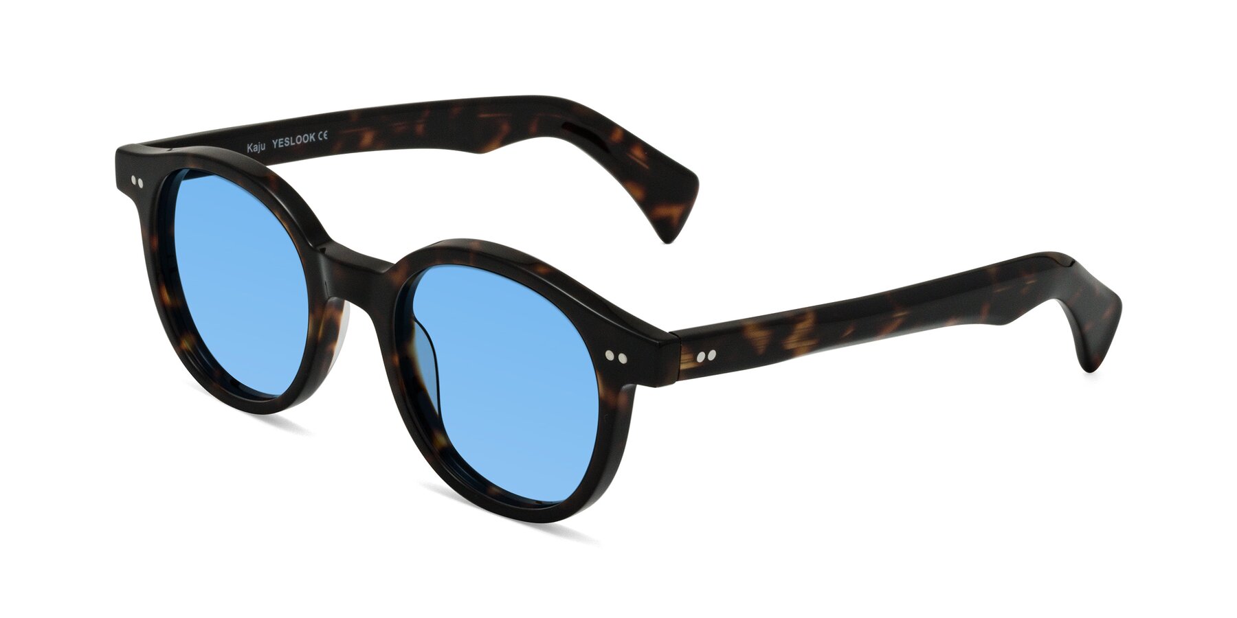 Angle of Kaju in Dark Tortoise with Medium Blue Tinted Lenses